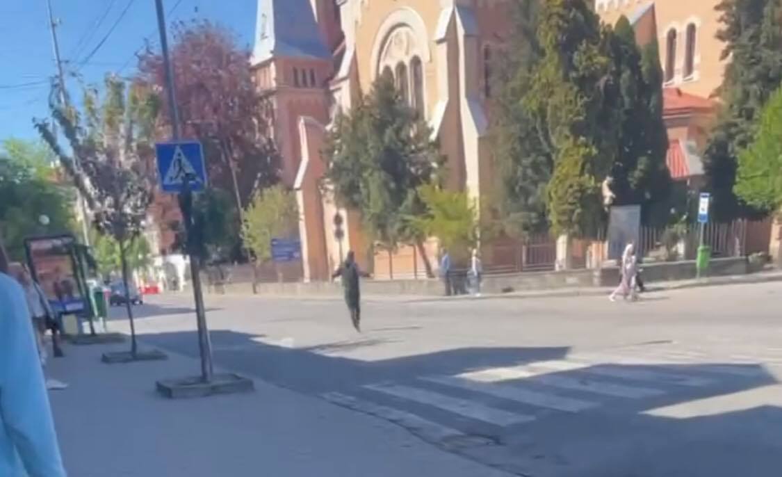 Трощив смітники, лаявся та бігав посеред дороги: у центрі Мукачева неадекват лякає перехожих та дітей (ВІДЕО)