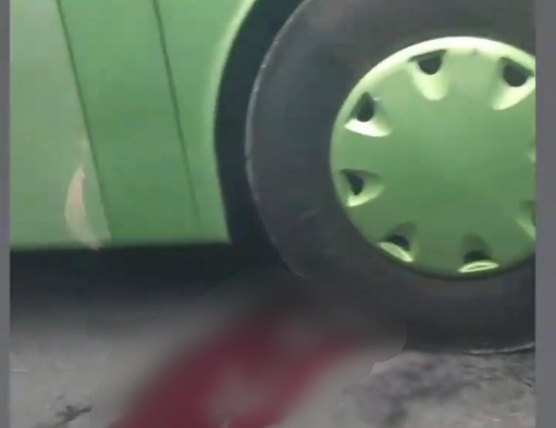 На Берегівщині нетверезий чоловік кинувся під колеса пасажирського автобуса (ВІДЕО)