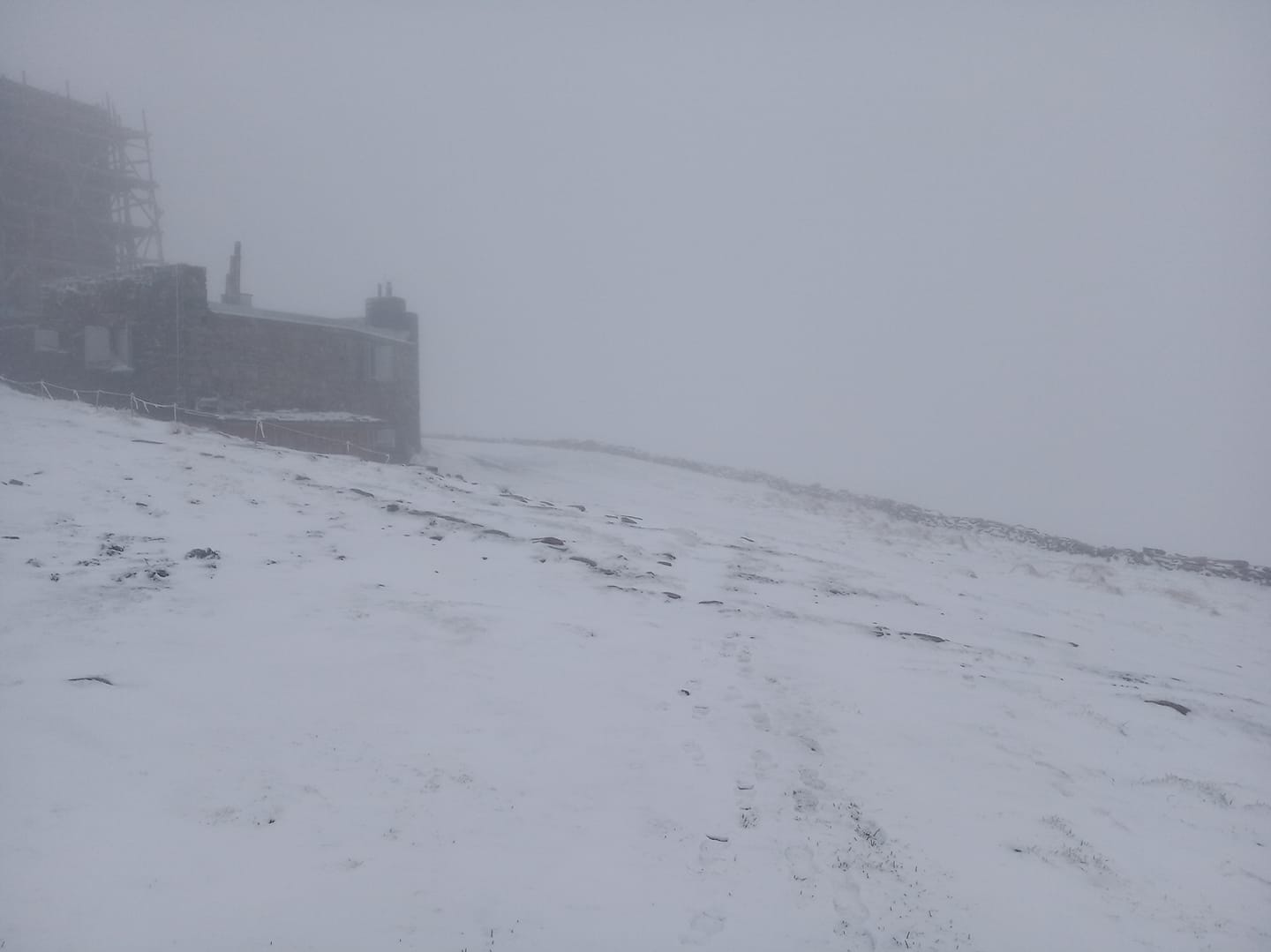 За лічені дні до літа у Карпатах продовжує сніжити (ФОТО)