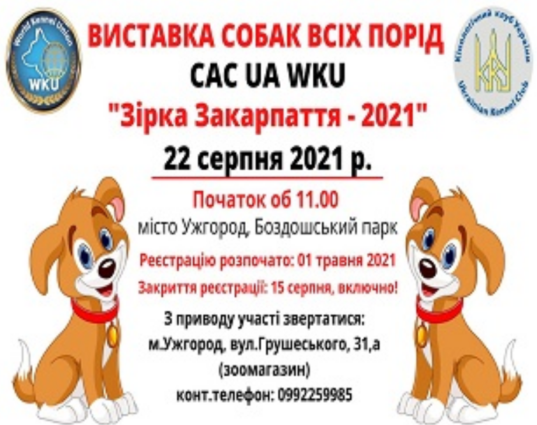 В Ужгороді стартувала реєстрація собак на виставку