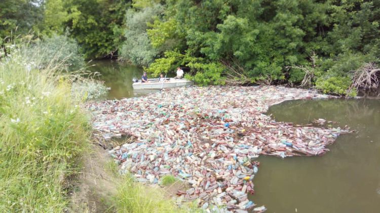 "Пластикові ріки" із Закарпаття: волонтери розчищали русла Боржави (ФОТО)