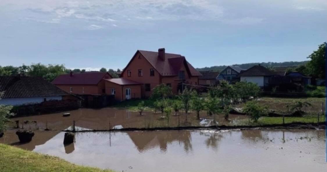 На Мукачівщині паводки знищили врожай та затопили домогосподарства (ФОТО, ВІДЕО)