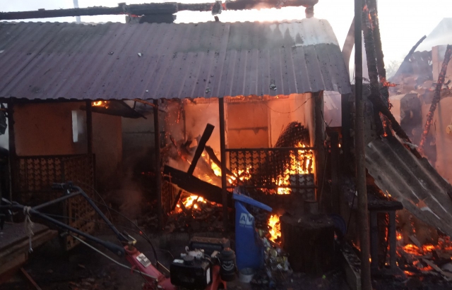 Нищівна пожежа на Закарпатті: свійські тварини згоріли живцем (ФОТО)