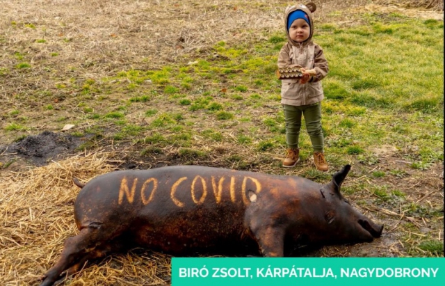 Фотографія із Закарпаття стала лауреатом конкурсу "Угорським оком" (ФОТО)